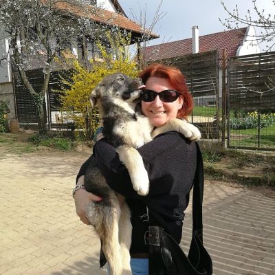 Access testkezelés állatok